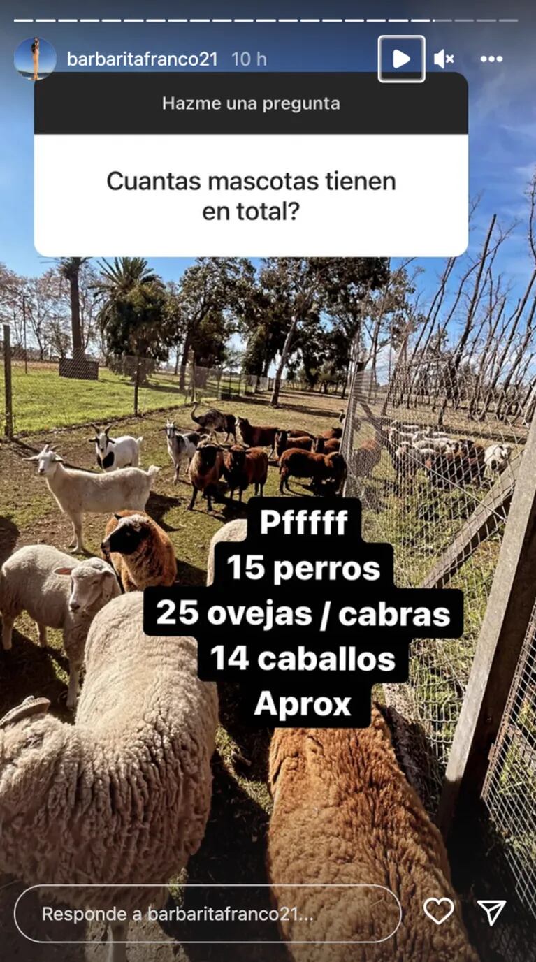 Barby Franco sorprendió al contar cuántas mascotas tienen con Fernando Burlando: "Perros, ovejas, cabras y caballos"