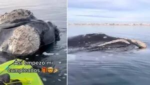 Subieron un video a TikTok remando sobre una ballena, se hicieron virales pero ahora la Justicia los denunció