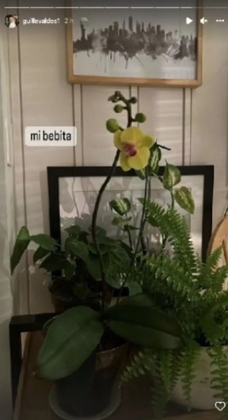 Guillermina Valdés recibió una señal de su orquídea el día que cumpliría años su papá 