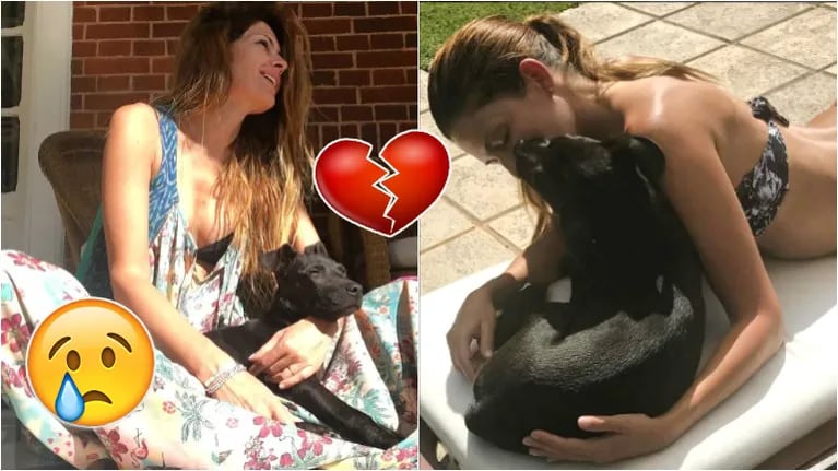 La tristeza de Isabel Macedo por la muerte de la perrita que rescató. Foto: Instagram