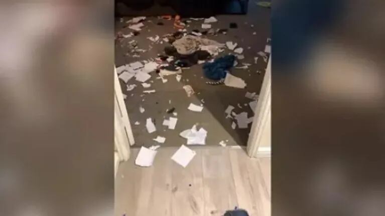 Este hombre se quedó impactado cuando descubrió que sus dos perros habían destrozado su casa en su ausencia