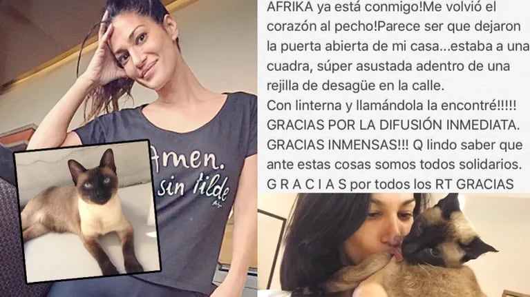 Silvina Escudero: perdió a su gata, la buscó intensamente ¡y la encontró! (Foto: Instagram)