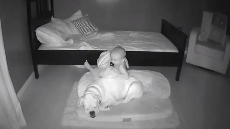 Pescan “in fraganti” a un bebé que escapa de su cama para dormir acurrucado con su perrito