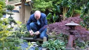 Este hombre tarda 10 años en transformar su jardín en un impresionante paraíso japonés