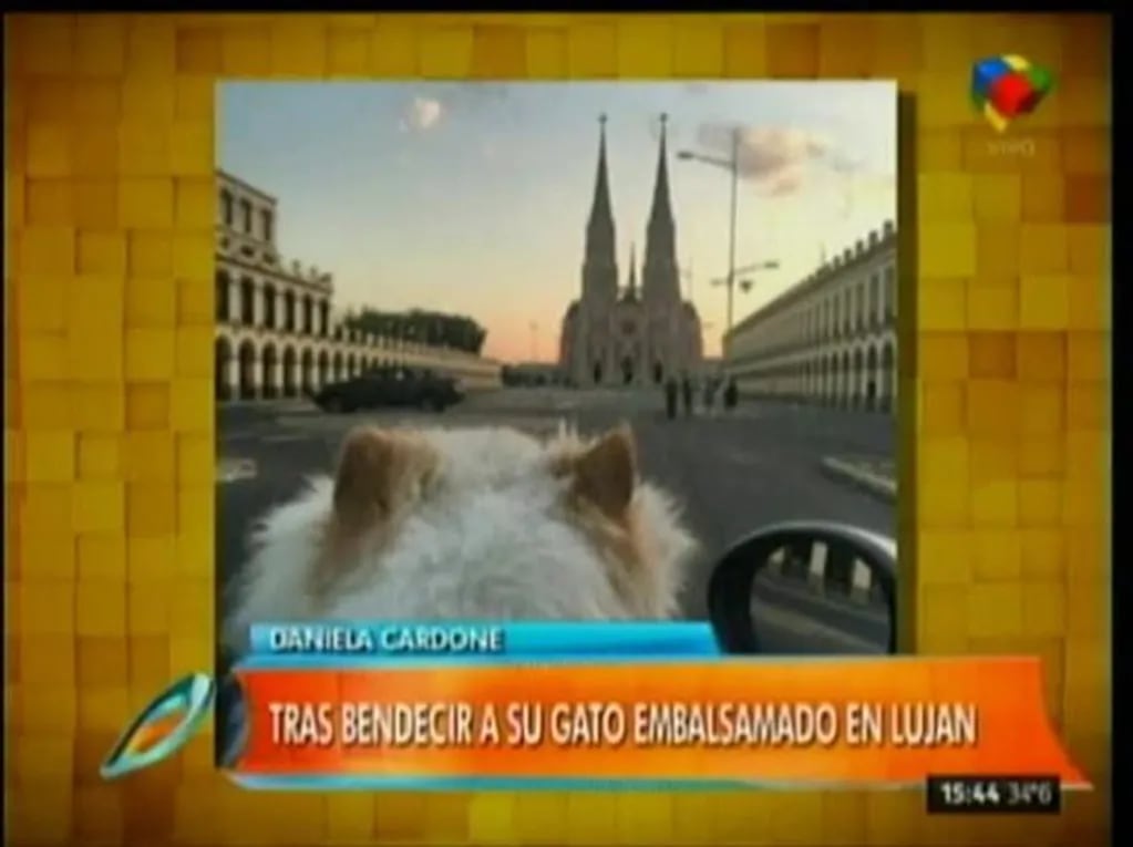 Mirá el el bizarro momento televisivo de Daniela Cardone con Augusto Tartúfoli y Jorge Rial: "¡Es un peluche!"