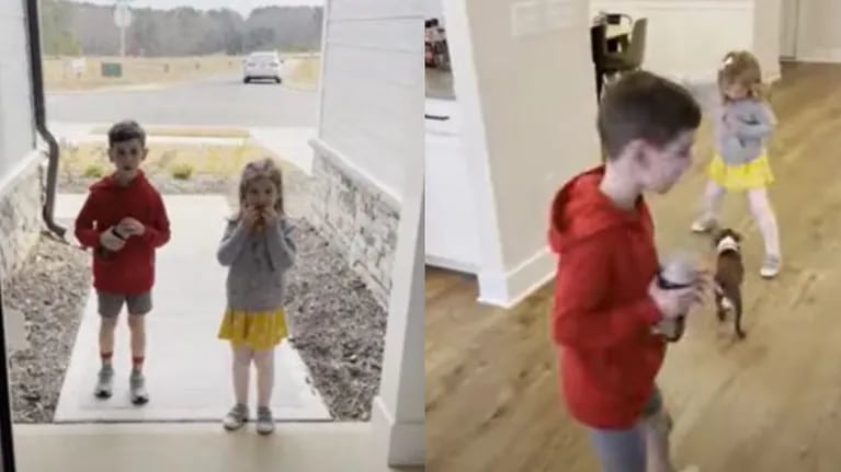 El emotivo vídeo de unos niños recibiendo una nueva mascota por Navidad