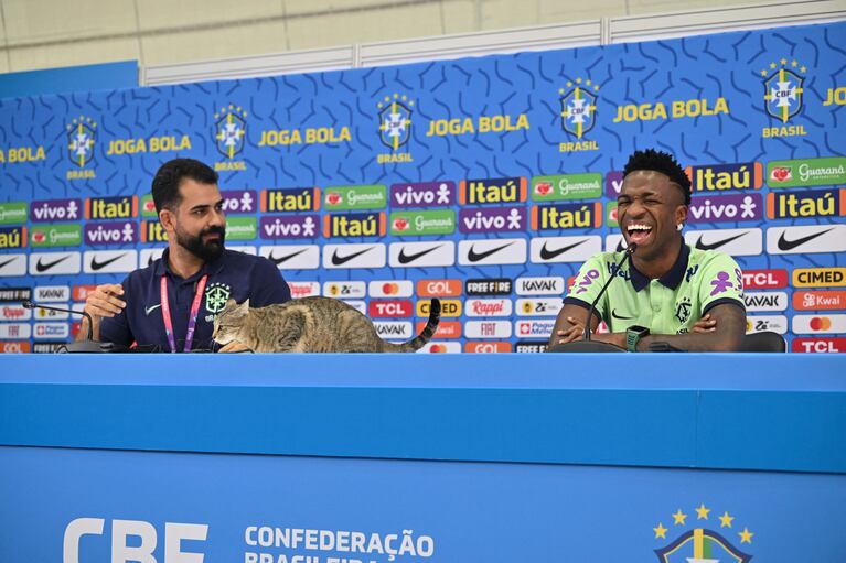 A cat climbs onto the conference table as Brazil's forward #20 Vinicius Junior laughs as he gives a press conference at the Al Arabi SC Stadium in Doha on December 7, 2022, during the Qatar 2022 World Cup football tournament. - Brazil and Croatia will meet in one of the Qatar 2022 World Cup quarter-finals on December 9. (Photo by NELSON ALMEIDA / AFP)