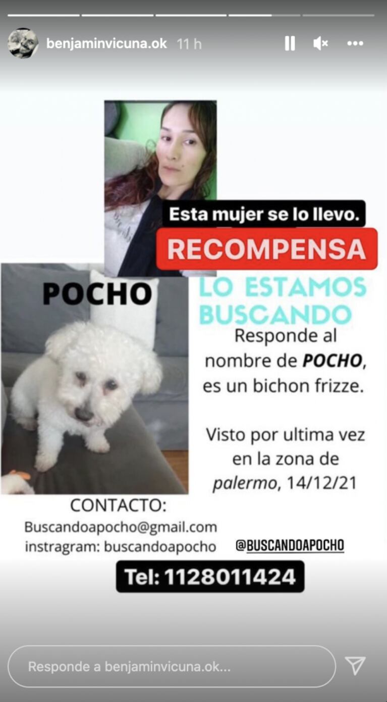 A cuatro meses de la separación, China Suárez y Benjamín Vicuña coinciden en una campaña solidaria