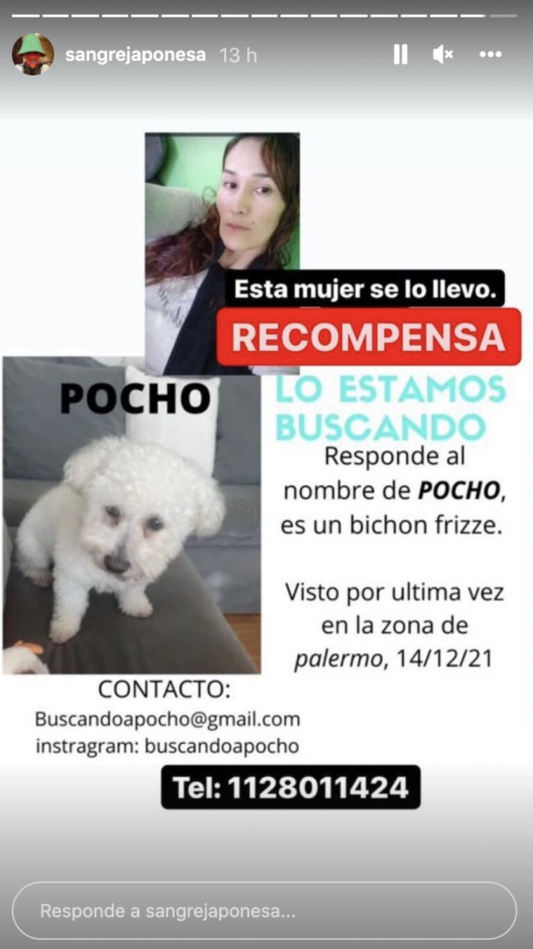 A cuatro meses de la separación, China Suárez y Benjamín Vicuña coinciden en una campaña solidaria