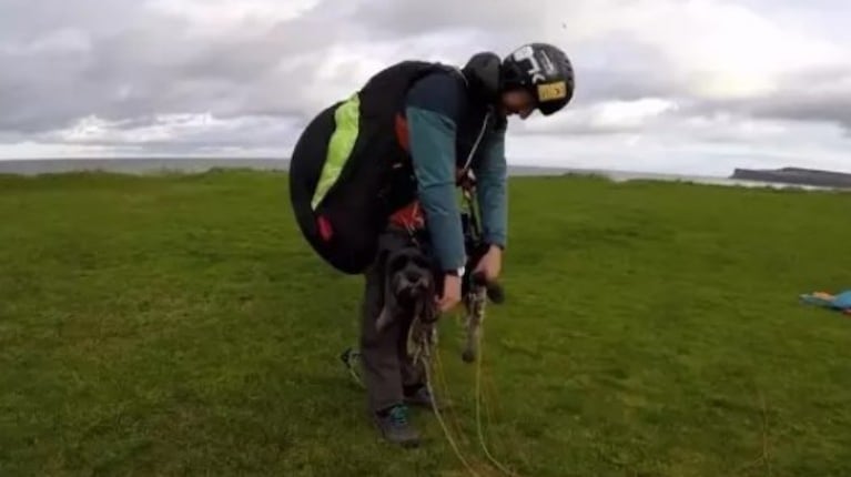 A este aventurero perro le encanta disfrutar volando en parapente junto a su dueño