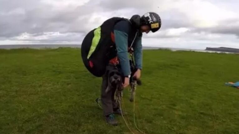 A este aventurero perro le encanta disfrutar volando en parapente junto a su dueño