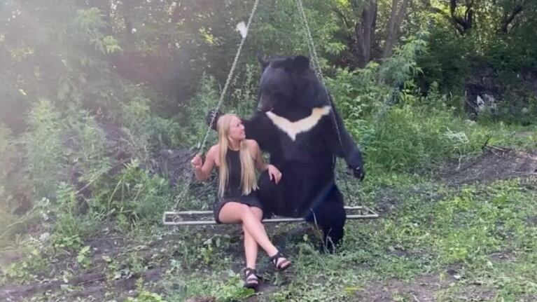 A este oso le gusta que lo hamaquen