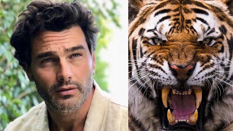 A Hernán lo asustó un tigre en plena producción de fotos.