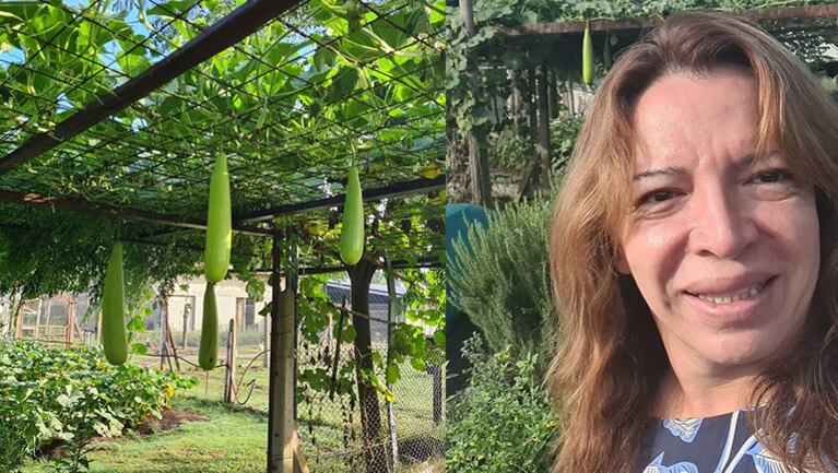 ¿A qué se debe la visita de Lizy a una huerta?