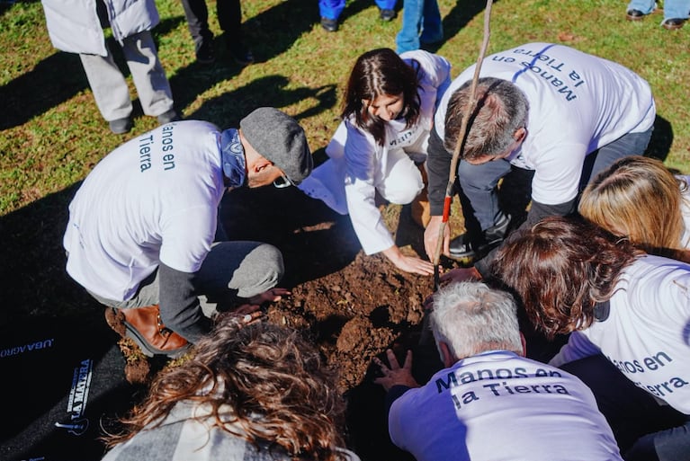 Abel Pintos plantó árboles de nuez pecán en el Hospital de Emergencias Psiquiátricas Alvear