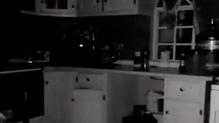 Actividad paranormal en una cocina causa terror en Internet