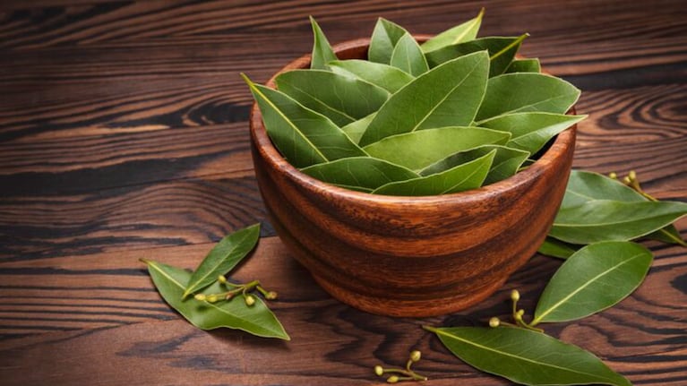 Además de servir para cocinar, el laurel sirve para alejar los malos olores del hogar. Foto: Freepik