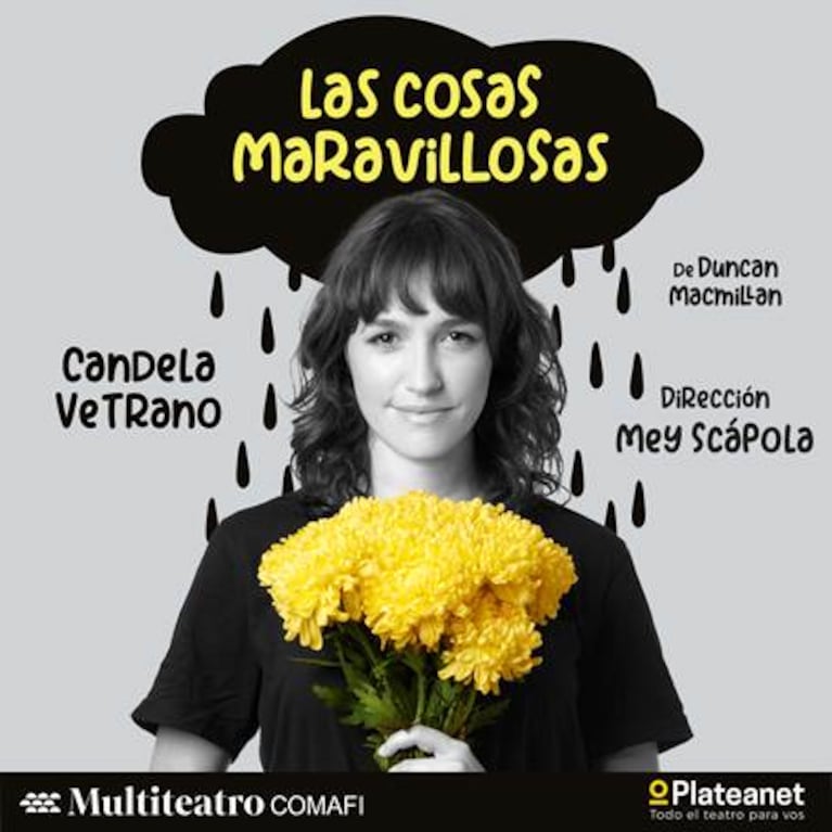 Afiche de "Las cosas maravillosas" versión 2024.