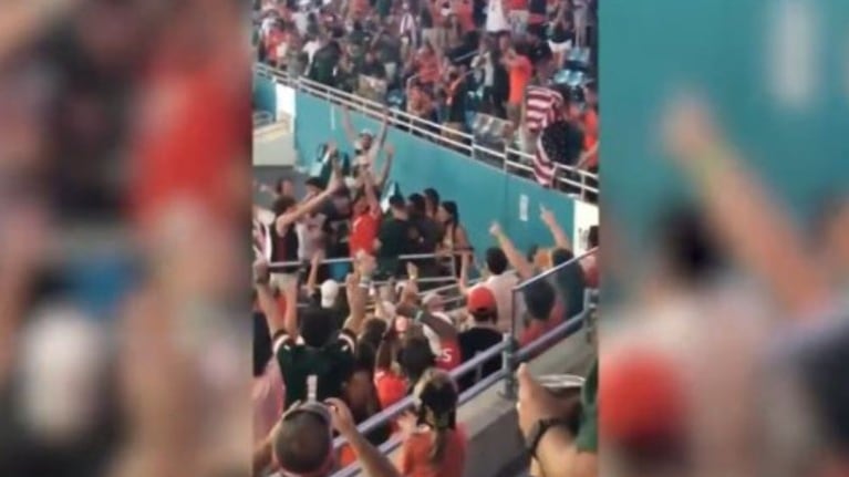Aficionados al fútbol atrapan al vuelo a un gato que colgaba de las gradas salvandole la vida