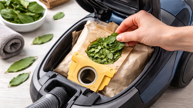 Al colocar unas hojas de laurel en la aspiradora se mejoran los aromas del hogar. Foto: IA (ChatGPT)