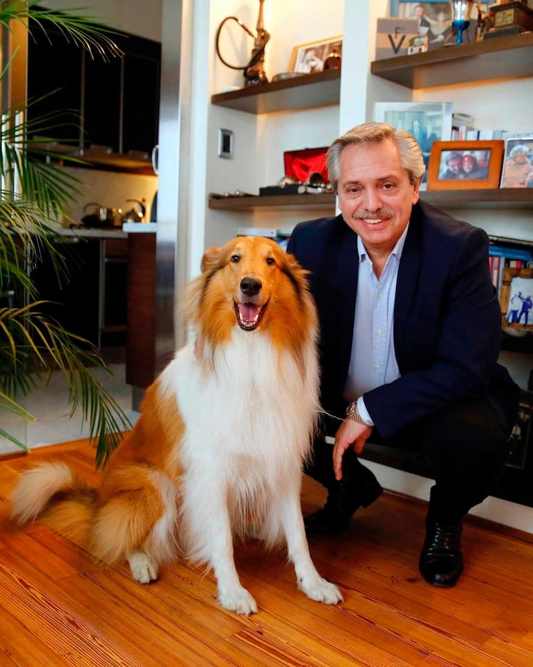 Alberto Fernández con su perro Dylan (Foto: Instagram)