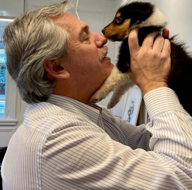 Alberto Fernández presentó a la cachorrita que tuvo su perro Dylan: "¡Bienvenida, Kaila!"