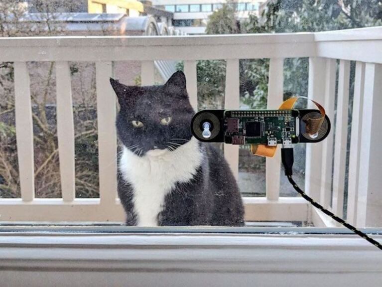Alta tecnología para un gato: ¿hay una mejor manera de consentir a las mascotas? 