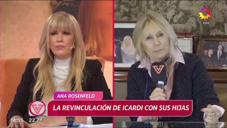 Ana Rosenfeld habló del Wanda Gate (Foto: captura de eltrece).