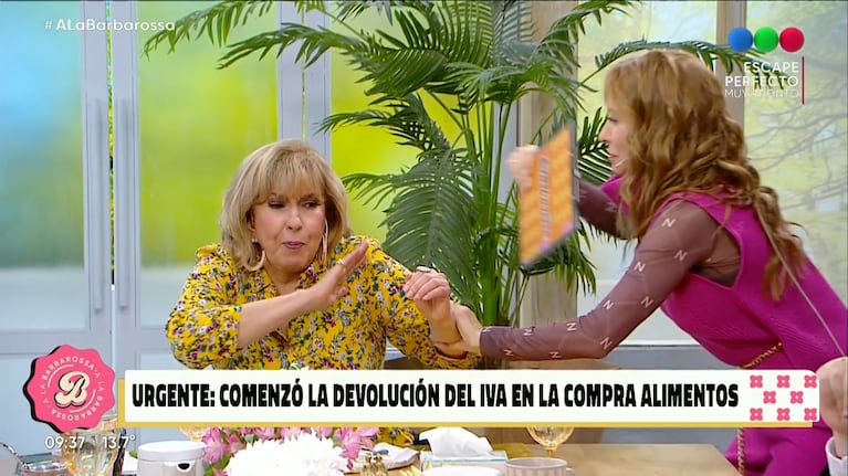 Analía Franchín le pegó a Georgina Barbarossa un carpetazo en vivo y reaccionó indignada: “Sos estúpida”