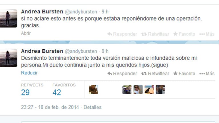 Andrea Bursten desmintió las versiones que la vinculaban a Alvarez Castillo (Fotos: Web).