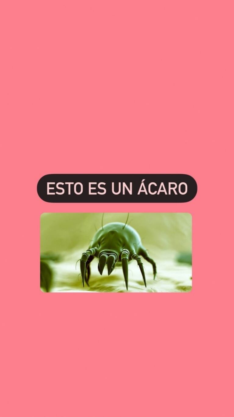 Ángel de Brito se hizo un test para saber a qué es alérgico y compartió su sorpresa: "¡Son un asco los ácaros!"