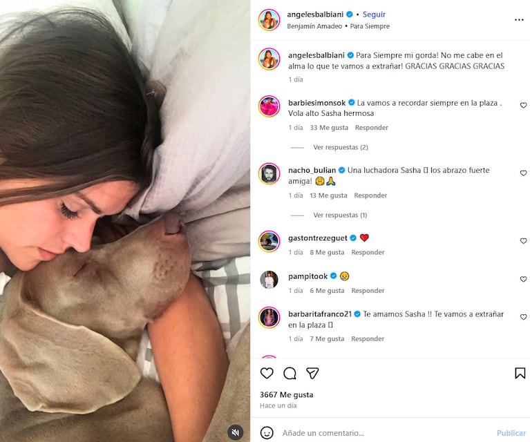 Angie Balbiani rompió en llanto en vivo (Captura de Instagram)