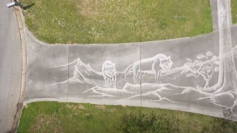Aprovechando la suciedad del asfalto y la presión del agua este hombre hizo arte