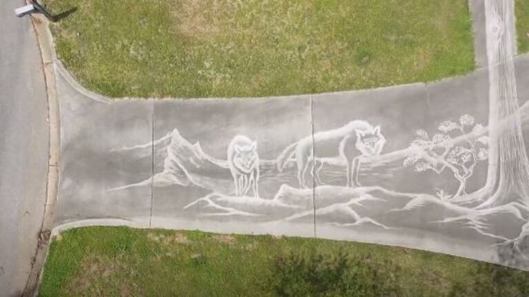 Aprovechando la suciedad del asfalto y la presión del agua este hombre hizo arte