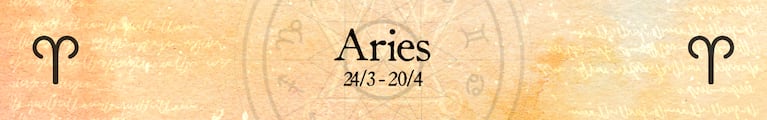 aries imagen