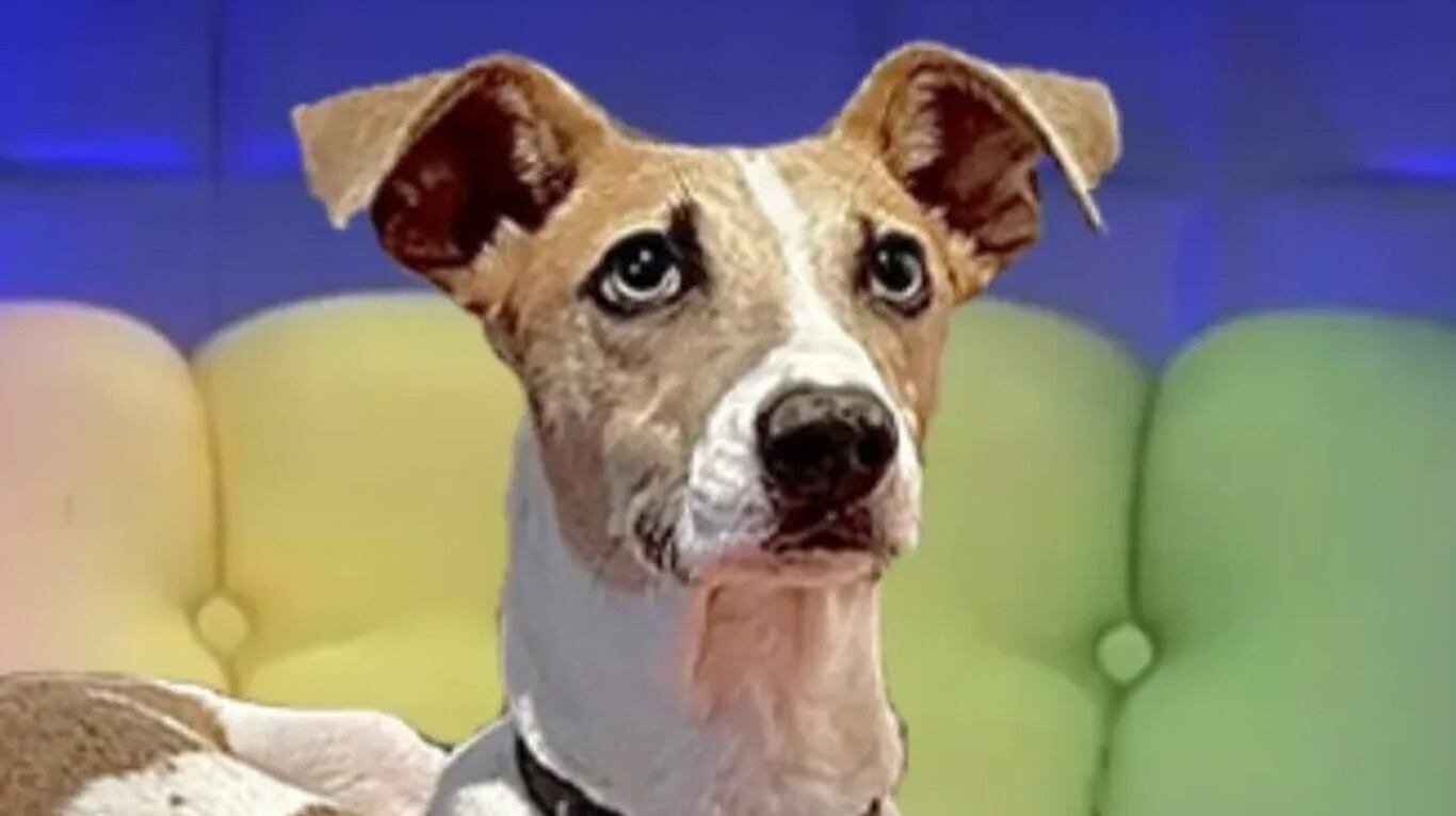 Arturo de Gran Hermano 2023.