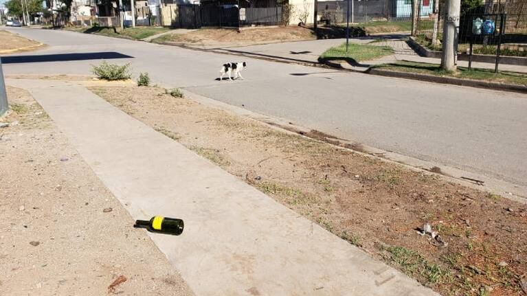 Asesinan a un joven en una fiesta clandestina en Córdoba y detienen a cuatro sospechosos