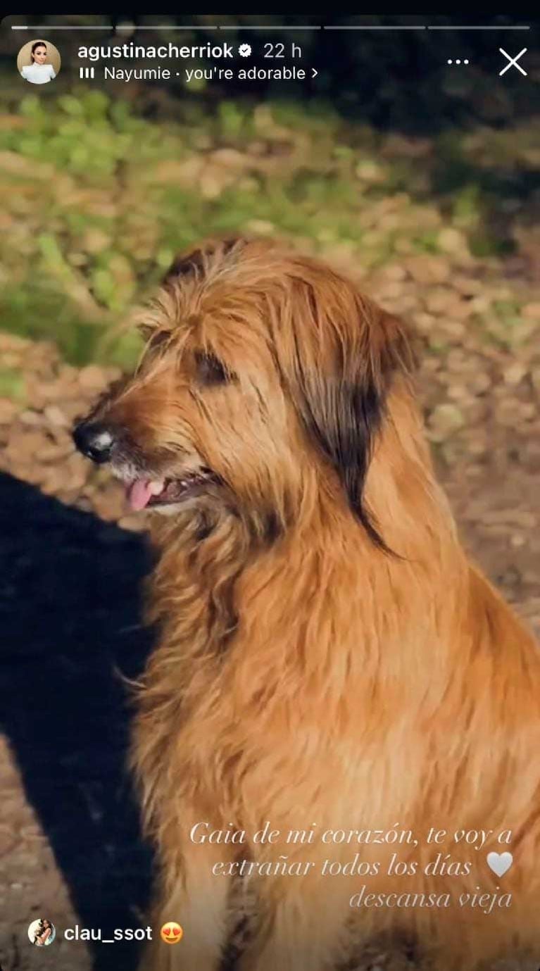 Así despidió Agustina Cherri a Gaia (Foto: Instagram @agustinacherriok)