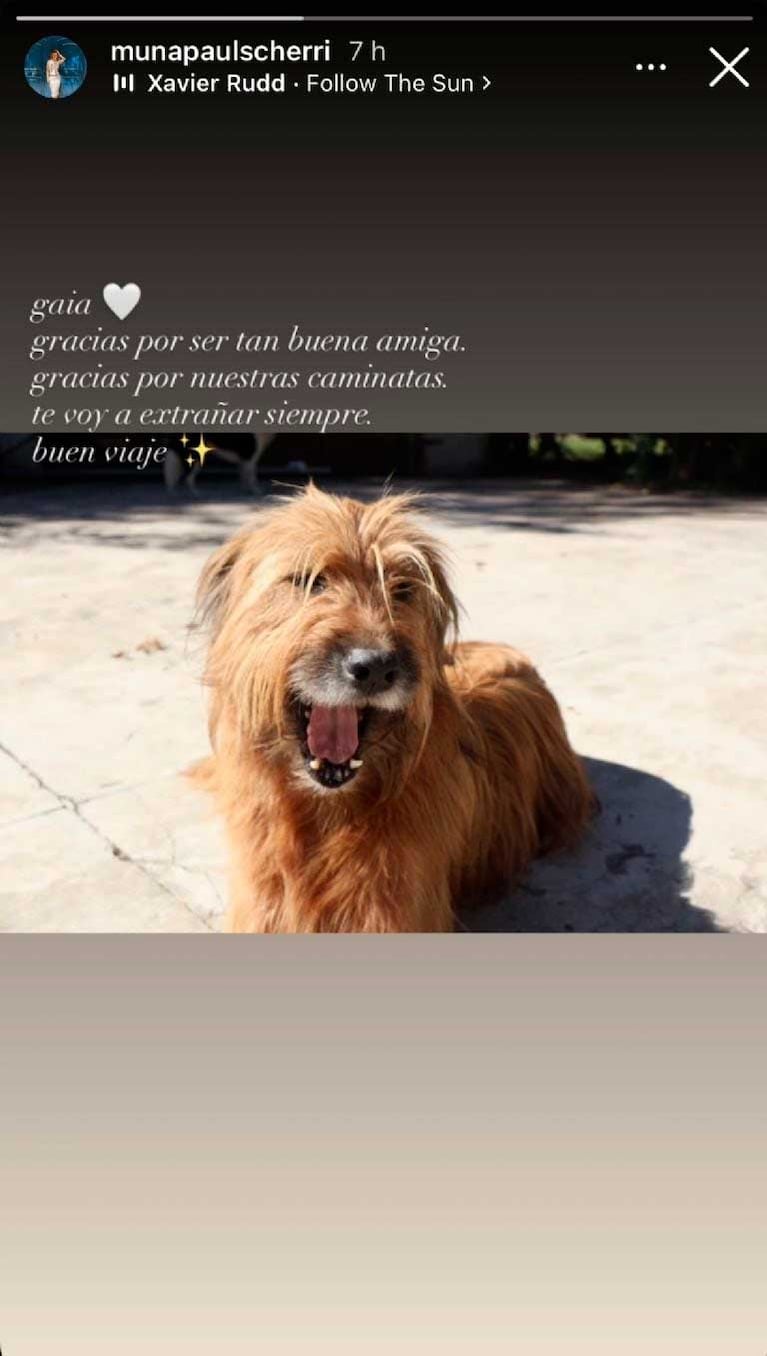 Así despidió MunaPauls a Gaia (Foto: Instagram @munapaulscherri)