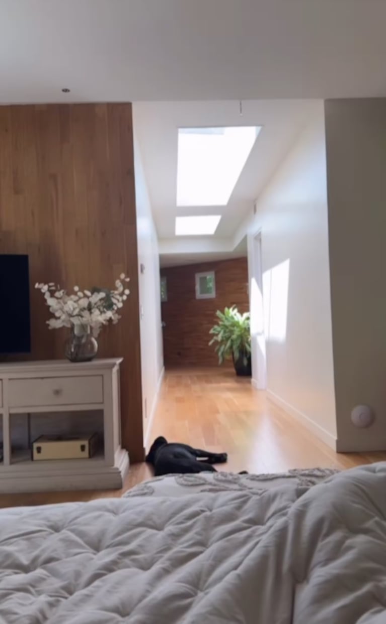 Así es la casa de Araceli González: un jardín paradisíaco, muebles de estilo y mucha luz natural | Créditos: Instagram @araceligonzalez67