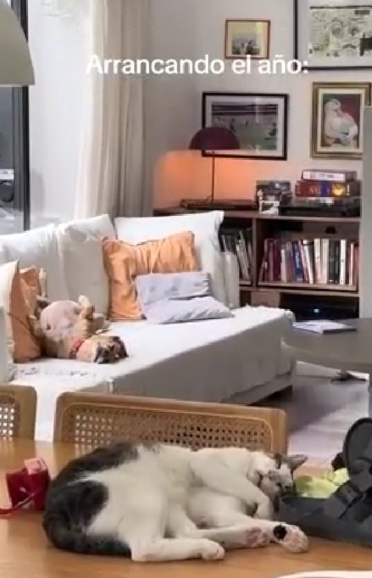 Así es la casa de Cande Vetrano y Andrés Gil: estilo vintage chic, luz natural y espacio para las mascotas | Créditos: Instagram @candelivetrano