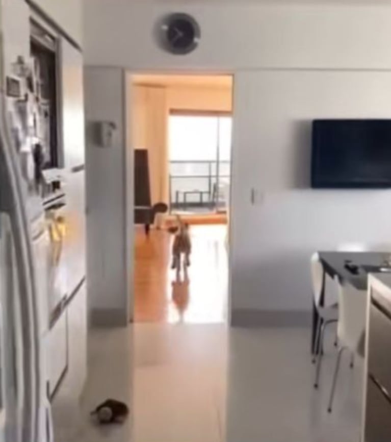 Así es la casa de Guillermo Francella: cocina de lujo, mucha luz natural y estilos variados | Créditos: Captura Luzu TV