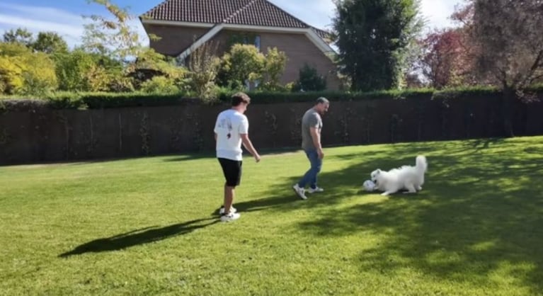 Así es la casa de Julián Álvarez y Emilia Ferrero en Madrid: jardín XL, cocina profesional y minimalismo | Créditos: Instagram