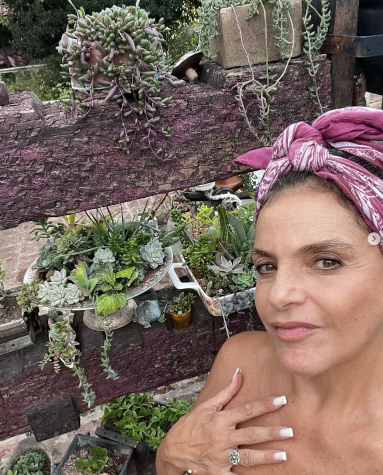 Así es la casa de Osvaldo Laport y Viviana Sáez en Pacheco: un chalet colonial con parque y pileta | Créditos: Instagram @vivisaezok