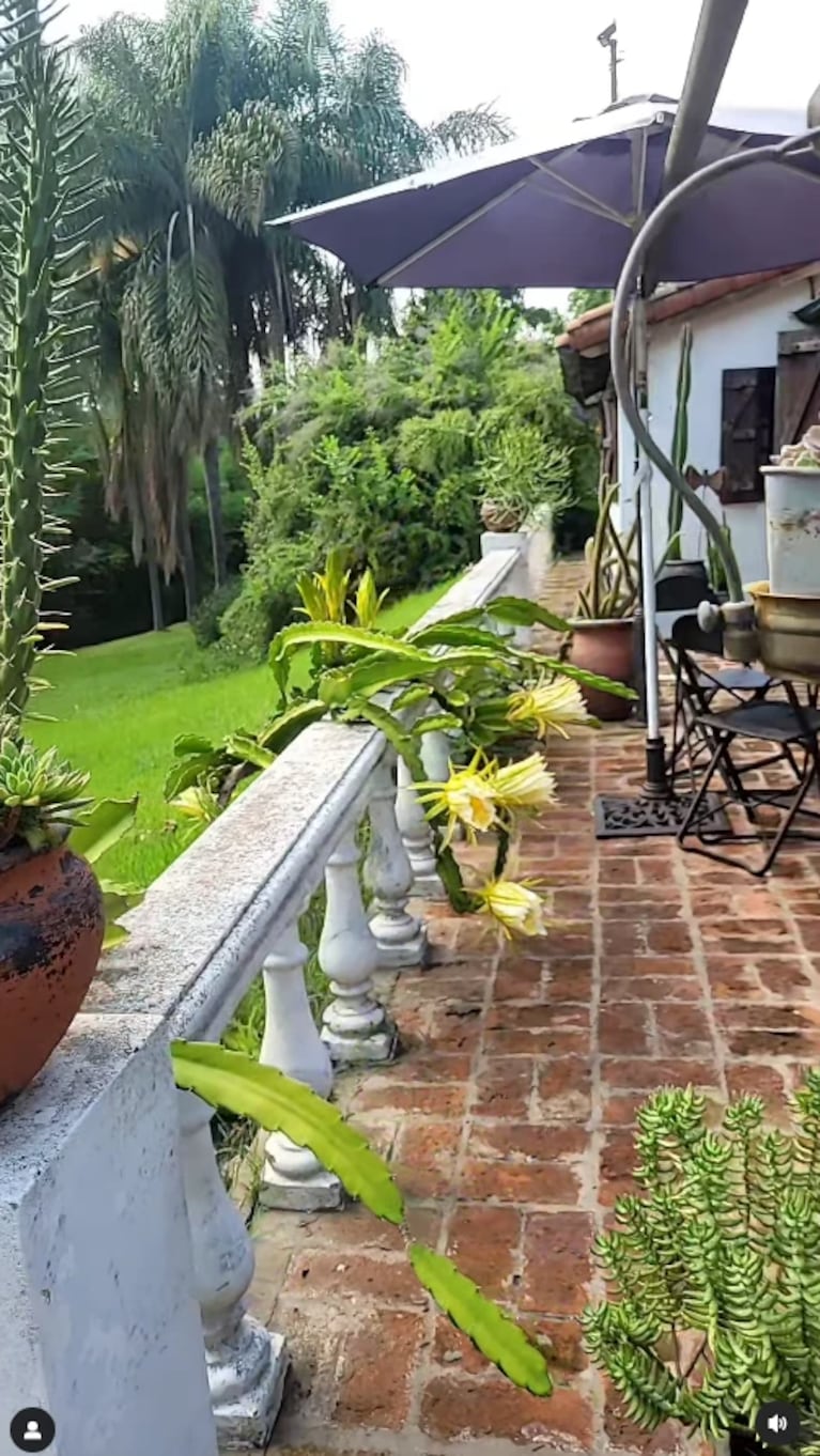 Así es la casa de Osvaldo Laport y Viviana Sáez en Pacheco: un chalet colonial con parque y pileta | Créditos: Instagram @vivisaezok