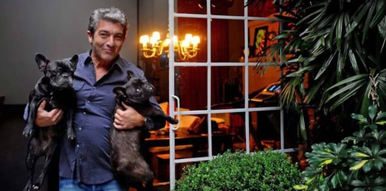 Así es la casa de Ricardo Darín: una residencia de 1938 que combina elegancia y modernidad | Créditos: CARAS