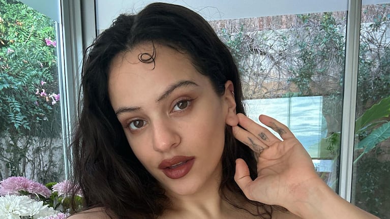 Así es la casa que Rosalía quiere comprar en Madrid: es un triplex valuado en 2.2 millones de euros. (Foto: Instagram/@rosalia.vt)