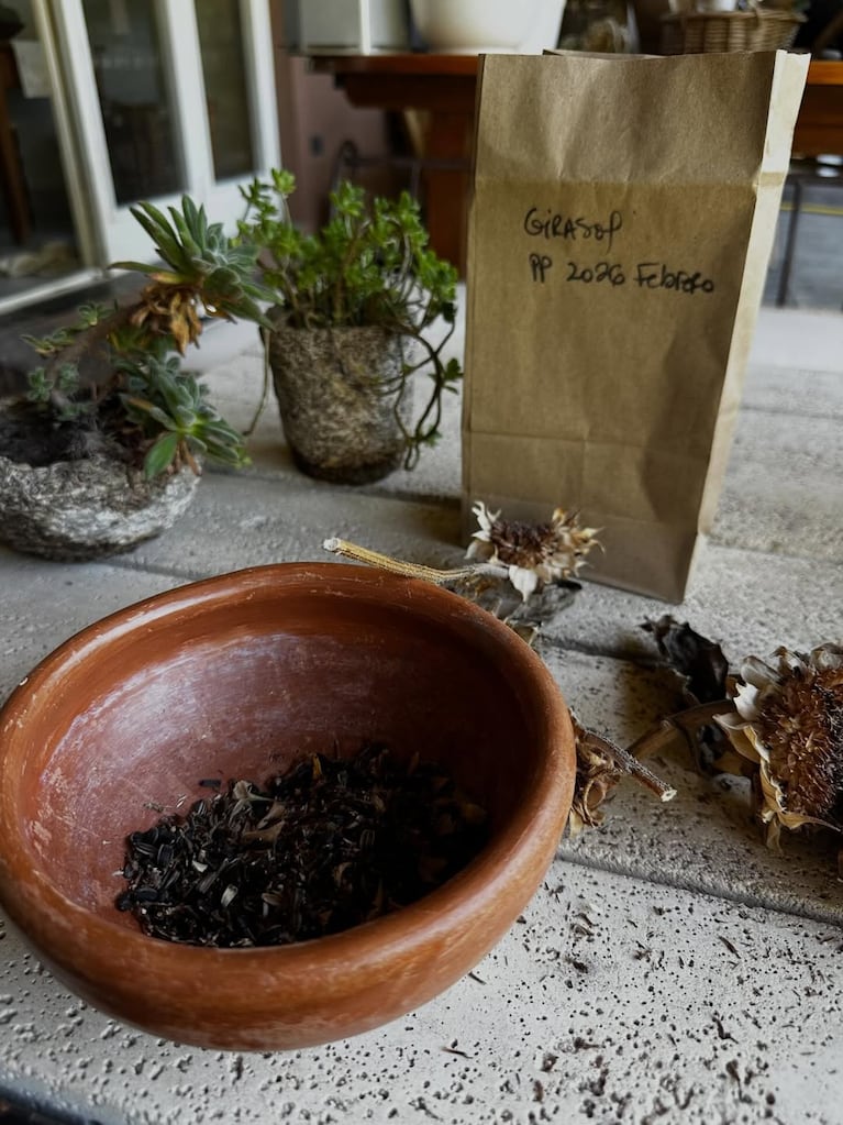 Así es la casa verde de Paula Colombini: enorme jardín con plantas nativas y comestibles (Foto de Instagram @colombinipaula )