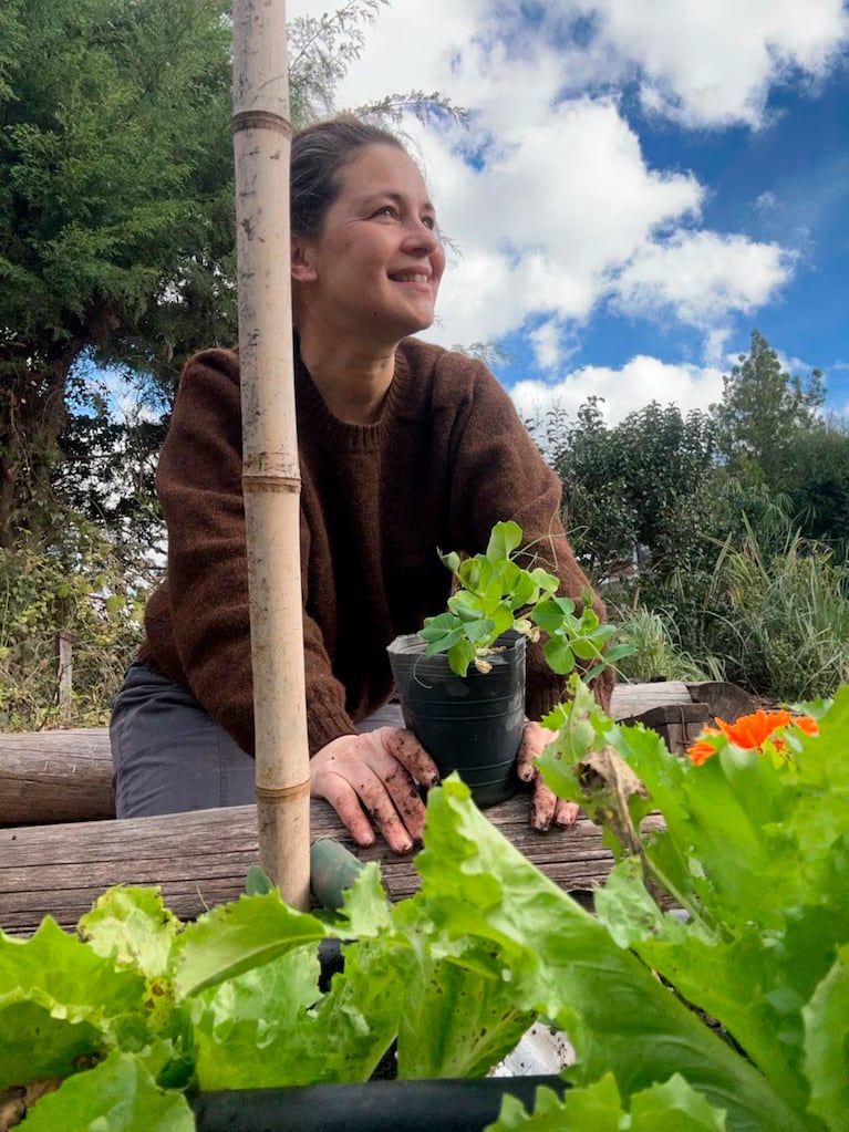Así es la casa verde de Paula Colombini: enorme jardín con plantas nativas y comestibles (Foto de Instagram @colombinipaula )