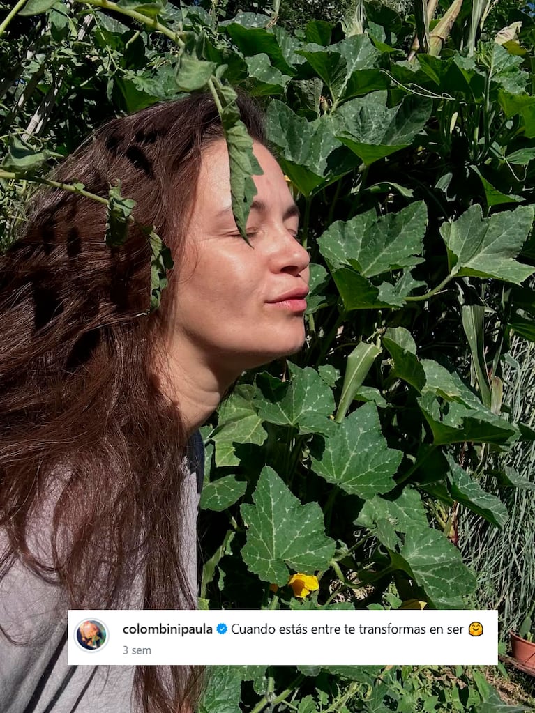 Así es la casa verde de Paula Colombini: enorme jardín con plantas nativas y comestibles (Foto de Instagram @colombinipaula )